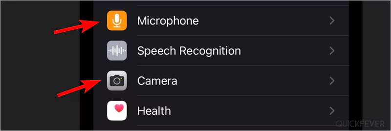 The iOS privacy settings for microphones and cameras