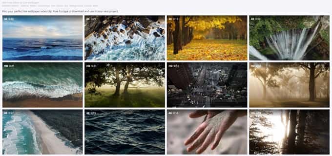 Best Windows 11 Live Wallpapers And Animated Wallpapers Handpicked - Vrogue