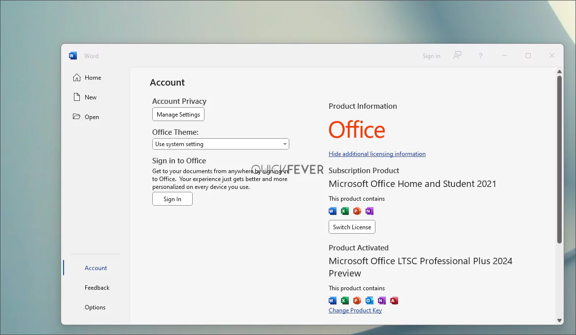 office 2024 preview download